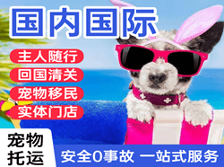 伊尔施国际宠物托运 【国